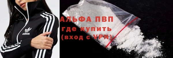 ПСИЛОЦИБИНОВЫЕ ГРИБЫ Инта