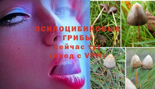 круглые Каменка