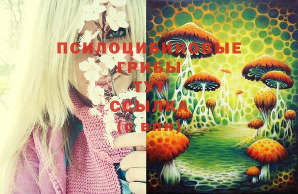МДПВ Каменск-Шахтинский