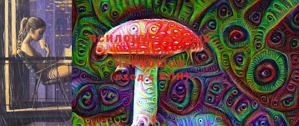 молекула духа Туринск