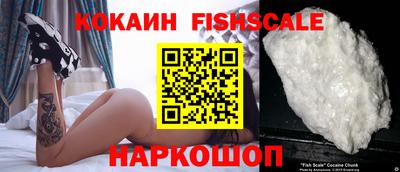 apvp Гатчина
