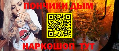apvp Гатчина