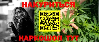 apvp Гатчина