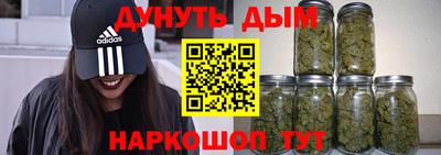 apvp Гатчина