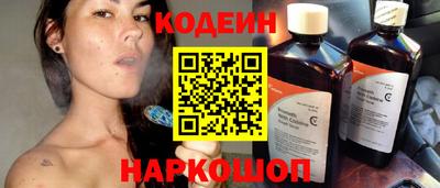 apvp Гатчина