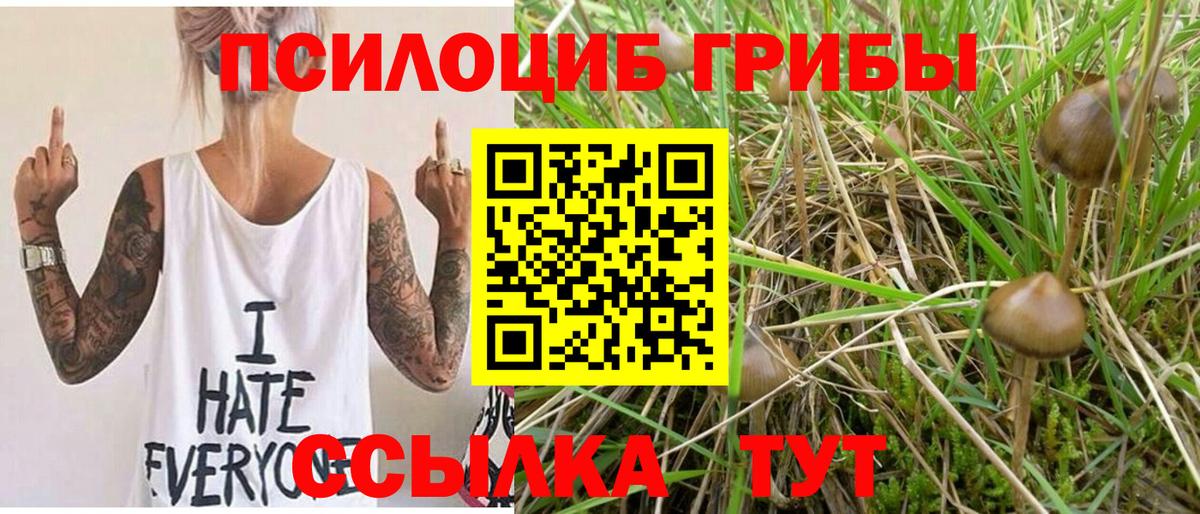 Галлюциногенные грибы Psilocybine cubensis Уссурийск